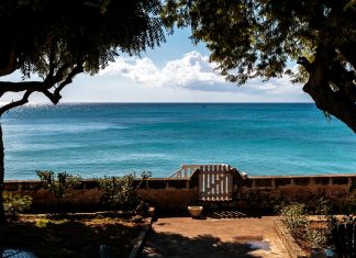 caribbean-photo-of-the-day-barbados