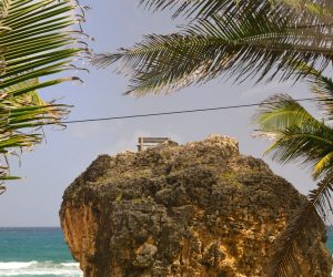 caribbean-travel-photo-of-the-day-barbados