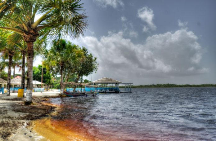 caribbean-travel-photo-of-the-day-guyana
