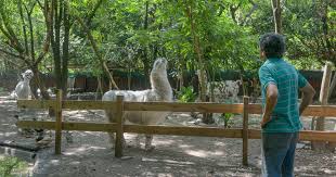 Animal-Paradise-Argentina Animal-Paradise-Argentina