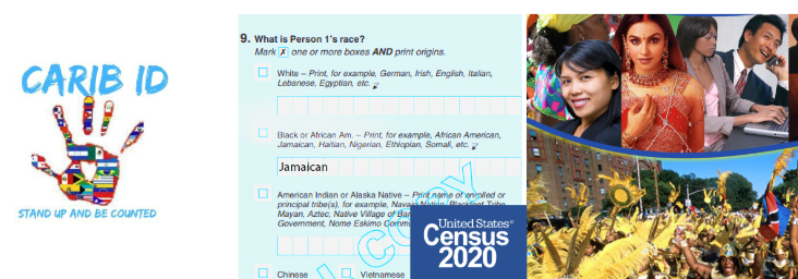 caribid--us-census-2020-