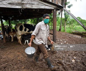 Caribbean Business And Finance Report cuban-farmer