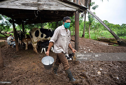 cuban-farmer