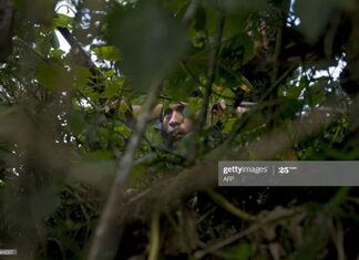 peru-peasant-militias