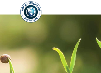 A Greener Caribbean: Distributed Resilient Energy Spurs Economic Opportunities rocky-mountain-institute