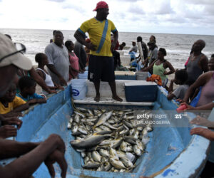 Here’s How These Caribbean Indigenous People Are Coping With The Pandemic garifunas-honduras