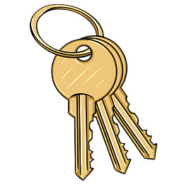 professor-Lichtman-keys