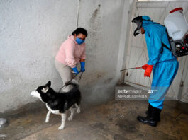 latin-america-covid-19