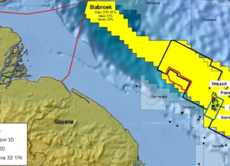 exxon-payara-development
