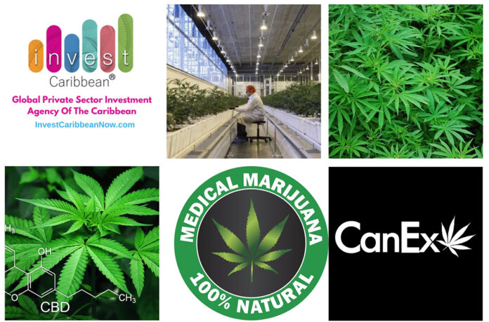 icn-canex-partners-on-marijuana-funding