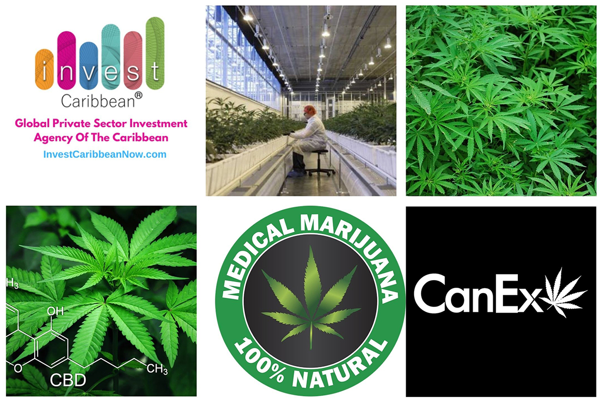 icn-canex-partners-on-marijuana-funding icn-canex-partners-on-marijuana-funding