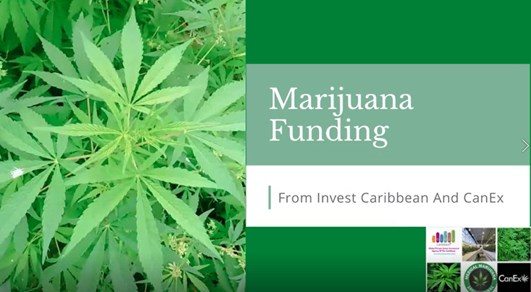 marijuana-funding-from-icnc