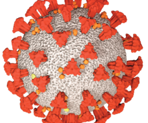 Trump’s America – Episode #196 – Magical Thinking covid-19