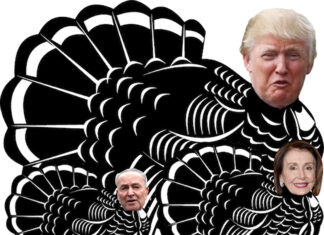 turkey-of-theyear-award-for-donald-trump-chuck-schumer-nancy-pelosi