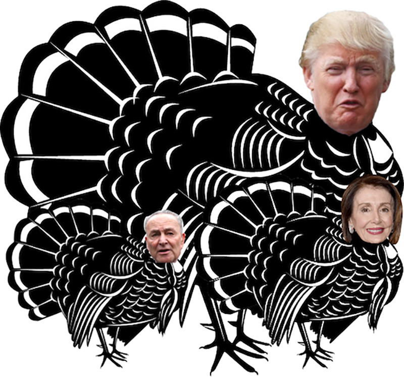 turkey-of-theyear-award-for-donald-trump-chuck-schumer-nancy-pelosi