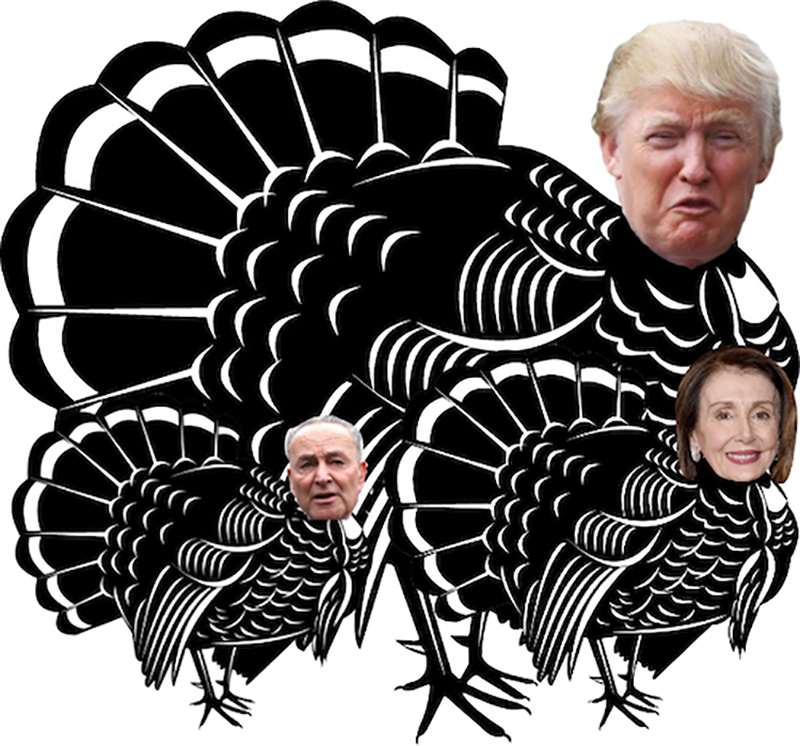 turkey-of-theyear-award-for-donald-trump-chuck-schumer-nancy-pelosi turkey-of-theyear-award-for-donald-trump-chuck-schumer-nancy-pelosi