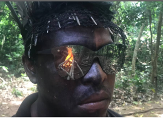 illegal-logging-brazil-guardians-