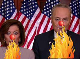 nancy-pelosi-chuck-schumer-must-go