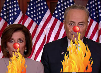 nancy-pelosi-chuck-schumer-must-go