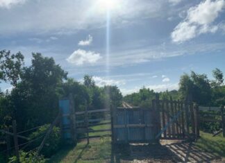 guyanese-woman-beats-daughter-unconscious