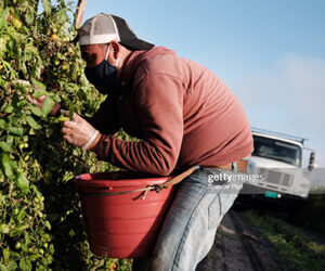 Beyond Citizenship For The Undocumented –The Other Facets Of The US Citizenship Act Of 2021 us-immigration-act-of-2021