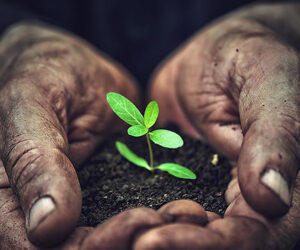 Scotiabank Joins Mastercard In The Launch of The Priceless Planet Coalition In The Caribbean Priceless-Planet-Coalition