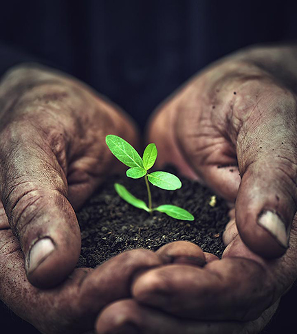 Priceless-Planet-Coalition Priceless-Planet-Coalition