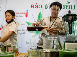 thailand-weed-industry