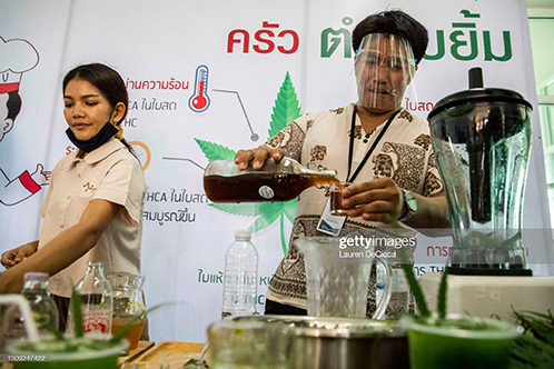 thailand-weed-industry