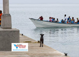 a-dog-watches-people-take-a-boat-back-and-forth-to-guard-property-in-svg