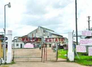 wales-estate-falling-apart-guyanajpg