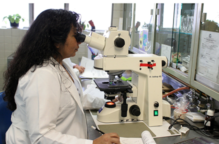 latin-america-medical-breakthroughs