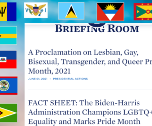 A White House With A Caribbean Roots Veep Ignores Caribbean American Heritage Month -national-caribbean-american-heritage-month