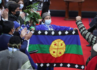 Indigenous Woman Picked To Draft New Constitution In This Latin America Nation chile-news