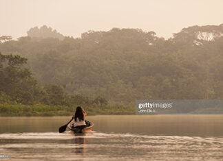 cop-26-latin-america