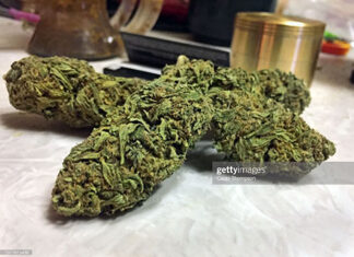 The Connecticut Cannabis Card: The Top 5 Qualifying Conditions To Get One indica-marijuana