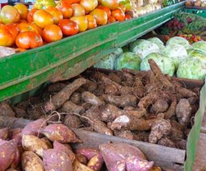 As Caribbean GDP Struggles, Here Are 5 Ways To Save On Expenses caribbean-market