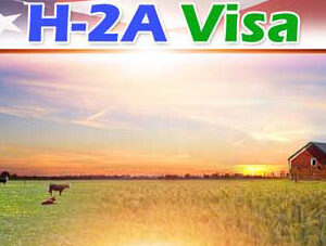 Three Caribbean Countries Added To US Visa Work Programs h-2-a-visa