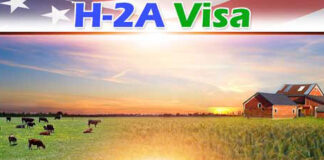 h-2-a-visa