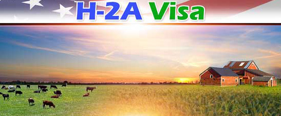 h-2-a-visa