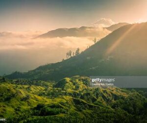 Caribbean Travel News Jamaica