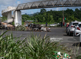 martinique-protests