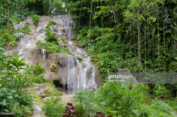 jamaica-mahoe-falls