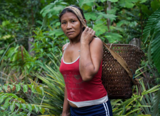 Indigenous Communities Are Defending The Amazon indigenous-guardians-of-the-rainforest