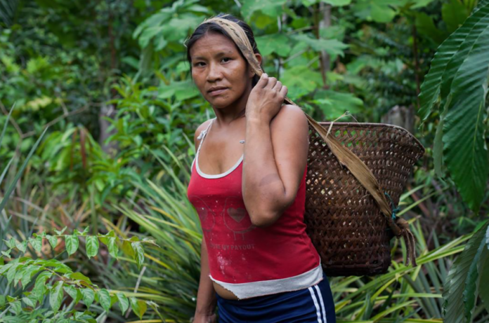 indigenous-guardians-of-the-rainforest