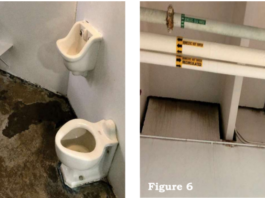 Torrance-DHS-OIG-watchdog-claim