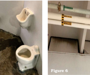 This Government Watchdog Is Being Discredited In Biden’s America Torrance-DHS-OIG-watchdog-claim