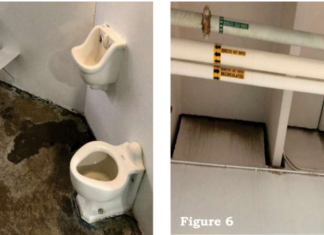 Torrance-DHS-OIG-watchdog-claim