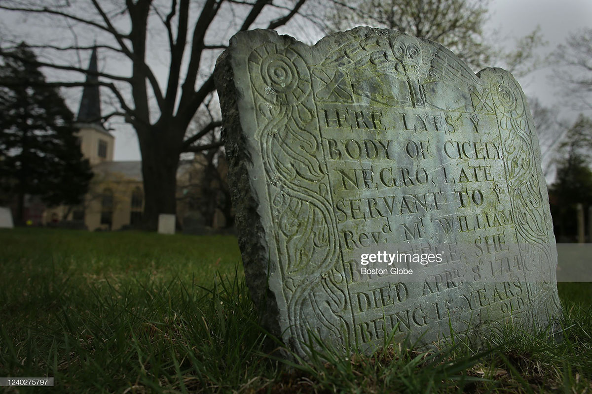 harvard-caribbean-slavery-connection harvard-caribbean-slavery-connection