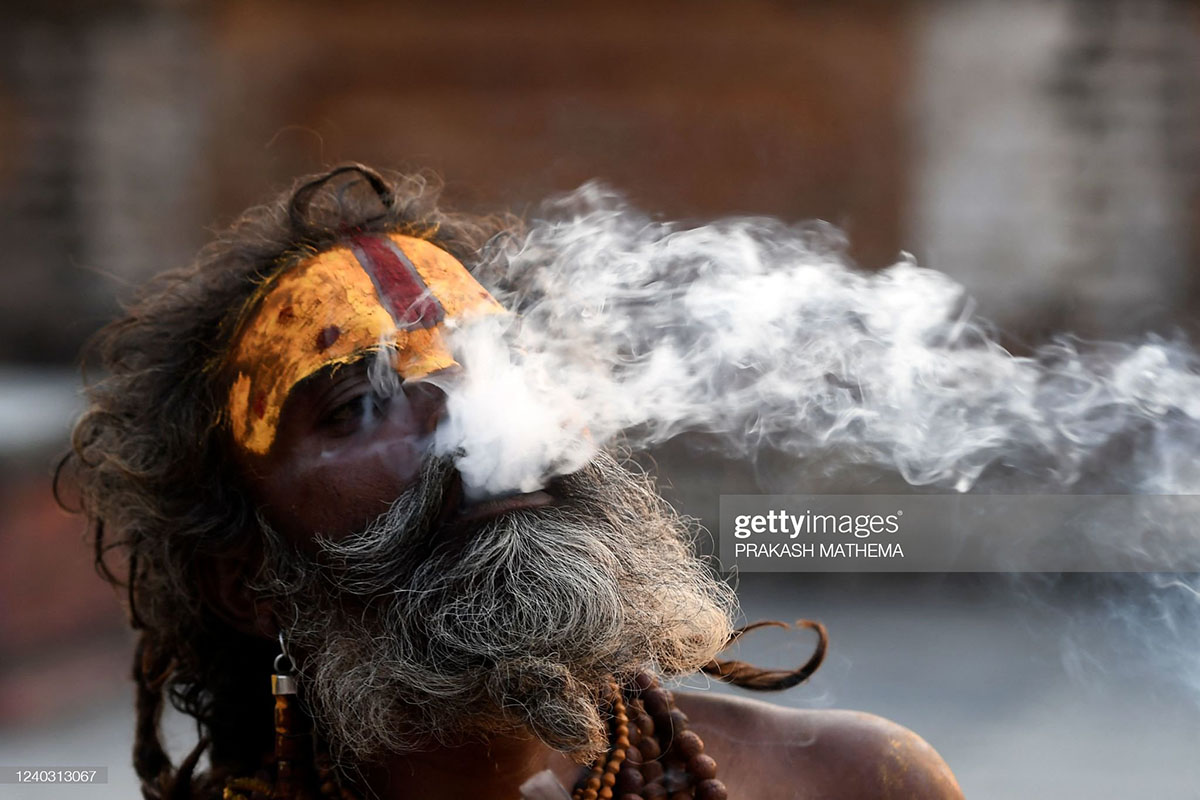 marijuana-nepal